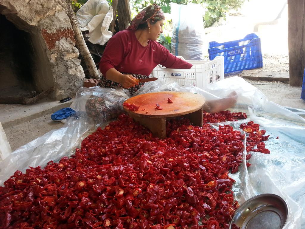 منزل الضيف دمرة  في Beymelek Tas Evler المظهر الخارجي الصورة